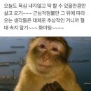 판장횟집 | 강남역 횟집 회판장 숙성회 모듬회 8종 후기