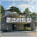 월 | 제천 청풍호 뷰 대형카페 콘크리트월, 내돈내산 솔직후기