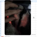 샵코인 노래연습장 이미지