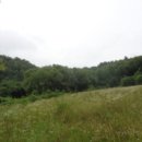 증2리 마을회관 이미지