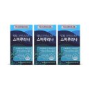 에이치엘 이미지