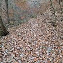 개산주유소 이미지