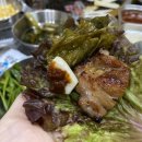 치악고등학교 네이버블로그