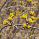 개화마을 이미지