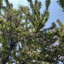 갈보리어린이집 이미지