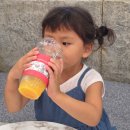 고양이카페 루프캣미 명동점 이미지