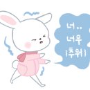 진도개테마파크 이미지