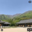 표충사 티스토리