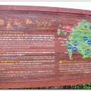 진산해수욕장 Daum카페