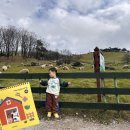 현우목장2 이미지