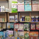 호야펫살롱 이미지