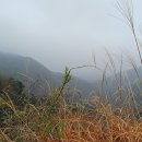 산안개 농장 이미지