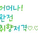 인셀덤미라클대리점 - 창원시 성산구 | 인셀덤미라클대리점