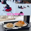 부산근교 가볼만한 곳 양산핫플 눈썰매장카페 배내골 배내허브랜드