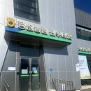 정선 맛집 농협 한우 타운 파크로쉬 소고기 후기