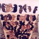 동보농장 이미지