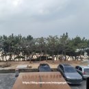 파스쿠찌대천해수욕장점 | 대천해수욕장 카페 파스쿠찌 내돈내산 찐리뷰