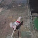 오늘도 방긋