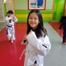 경희대i스타태권도장 이미지