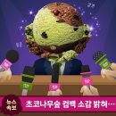 밤나무곡 이미지