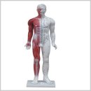 더미통상 이미지