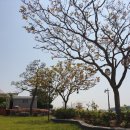 해안29번가 이미지