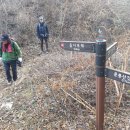 진전면900 이미지