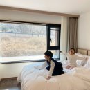 울산 여행 숙소 추천 울산 벚꽃명소 작천정 근처 호텔 간월재 스위트 및 온천 후기