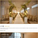 더스타(해피엔젤라) 이미지