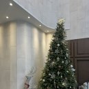 땅땅치킨 (대천점) | 12월 모음집