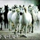 기타칠래 이미지