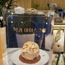 카페코튼돌