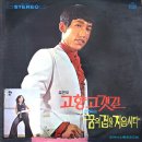 꿈의 집을 지읍시다 / 최명숙 (1972) 이미지