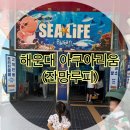 공주이모부 | 부산 아이랑 가볼만한곳. 해운대 아쿠아리움 후기!