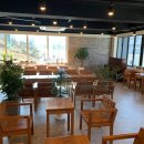 장승포마을관리 사회적협동조합 이미지