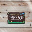 나무내음