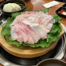 목포 맛집 추천 | 목포 덕자회 맛집으로 유명한 별스넥에서 덕자찜, 덕자회 다 먹고 온 내돈내산 후기