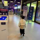 제주 실내 아이와 가볼만한곳 바운스 슈퍼파크 제주점 평일 방문 후기