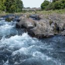 달빛품은바다 이미지