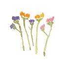 목동동로6길 이미지