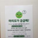 카페마리모 이미지