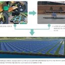 (주)세기종합환경