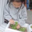 은자농장 이미지