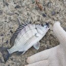 땅끝황토나라테마촌 이미지