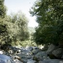 용추자연휴양림야영장 이미지