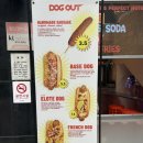 아웃독(OUT DOG) | 홍대 핫도그 맛집 &#34;도그아웃(Dogout), 가성비 가득한 미국감성 핫도그
