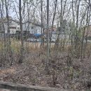 대지부동산중개인사무소 이미지