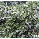 지우네 농장 이미지