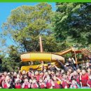 고려강호 태권도 이미지