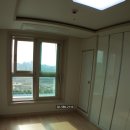 강남-181 이미지